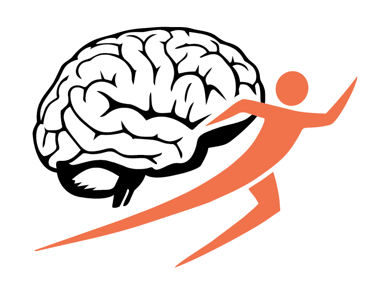 DNS Trainer Logo
